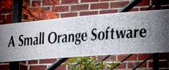 A Small Orange