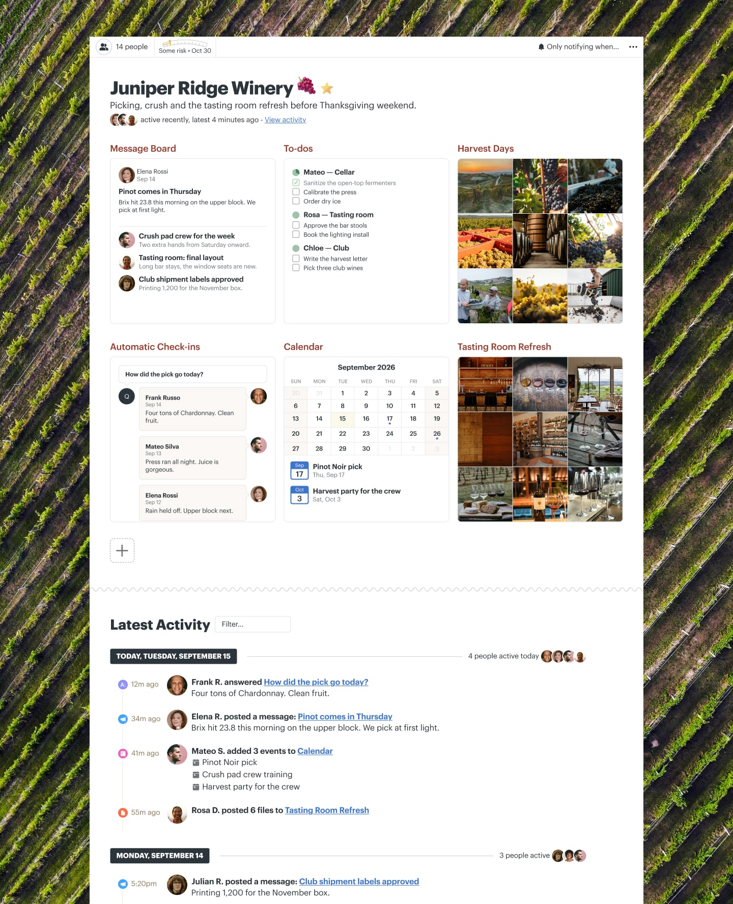 A winery harvest project in Basecamp with a Message Board, Docs & Files, a Calendar, To-dos, and Automatic Check-ins